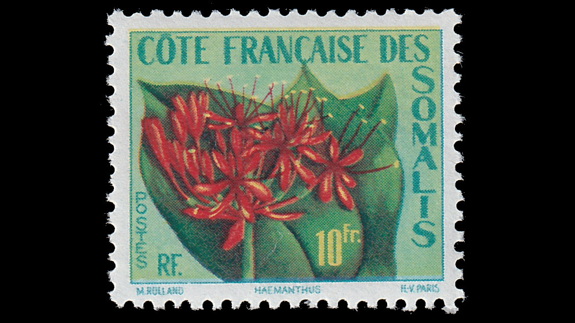 French Colonial Flora
