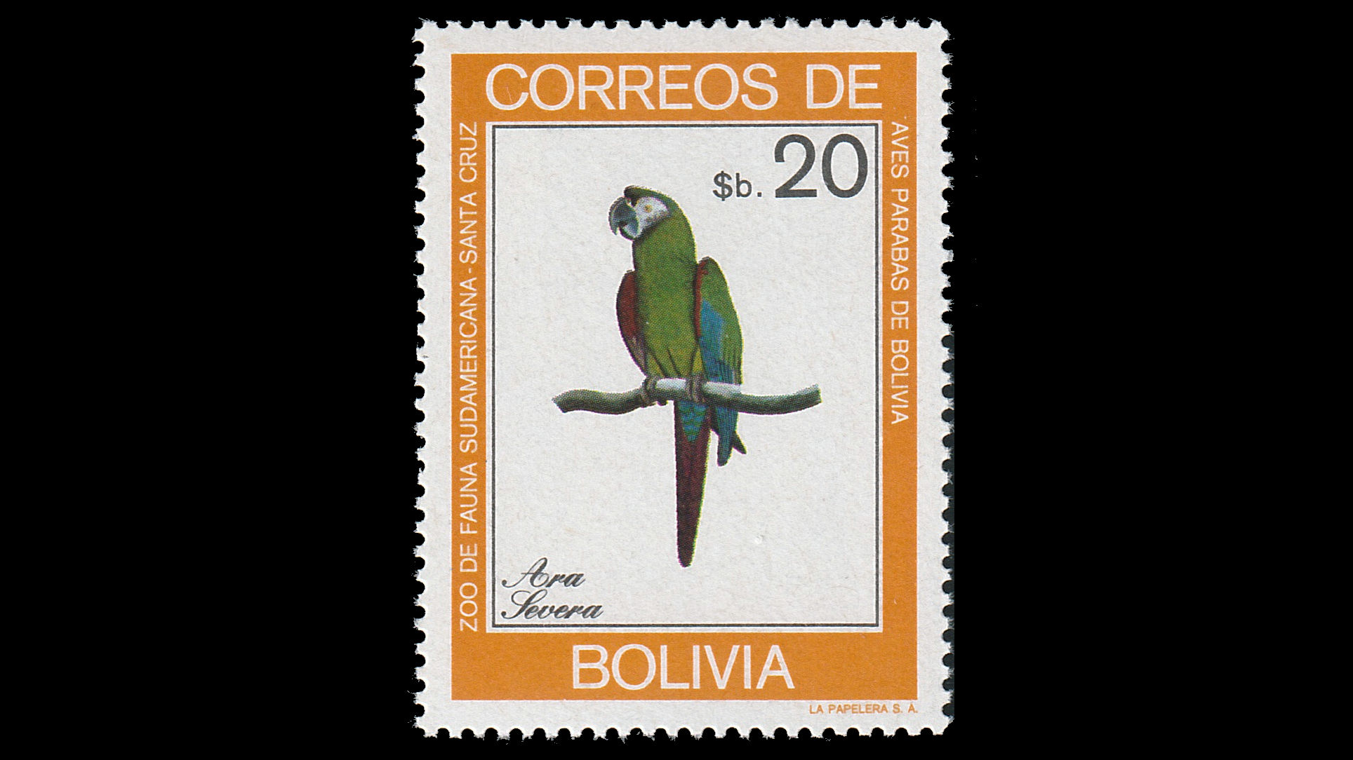 1981 Bolivian Parrots