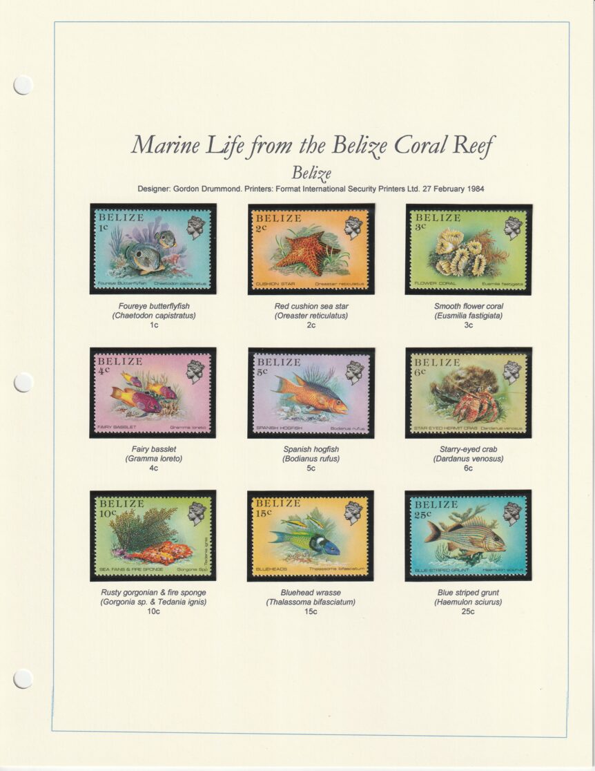 1984 Belize Coral Reef