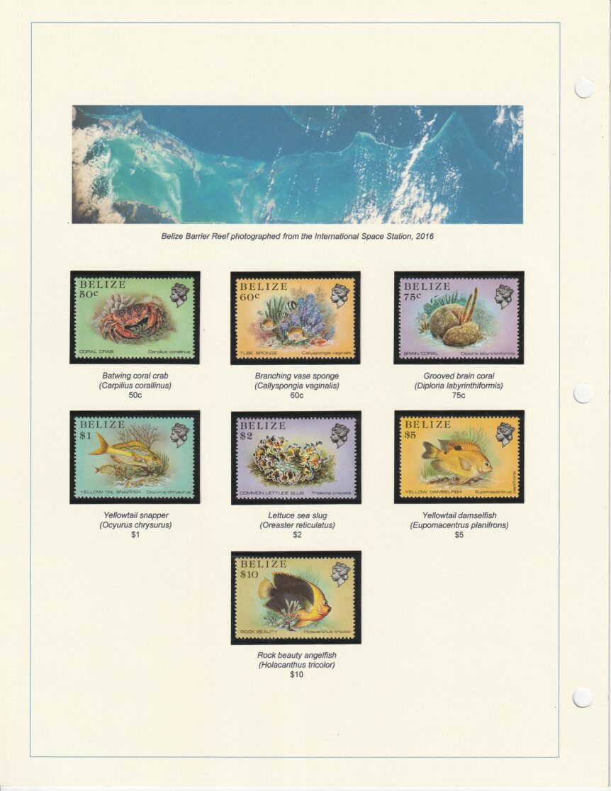 1984 Belize Coral Reef