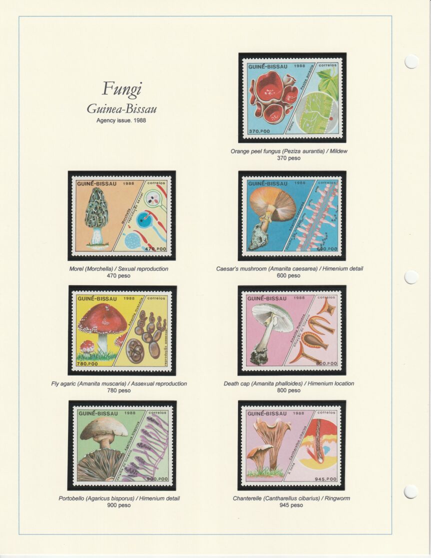 1988 Guinea Bissau Fungi