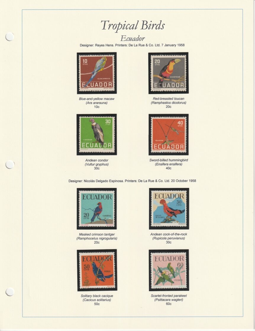 1958 Ecuador Birds