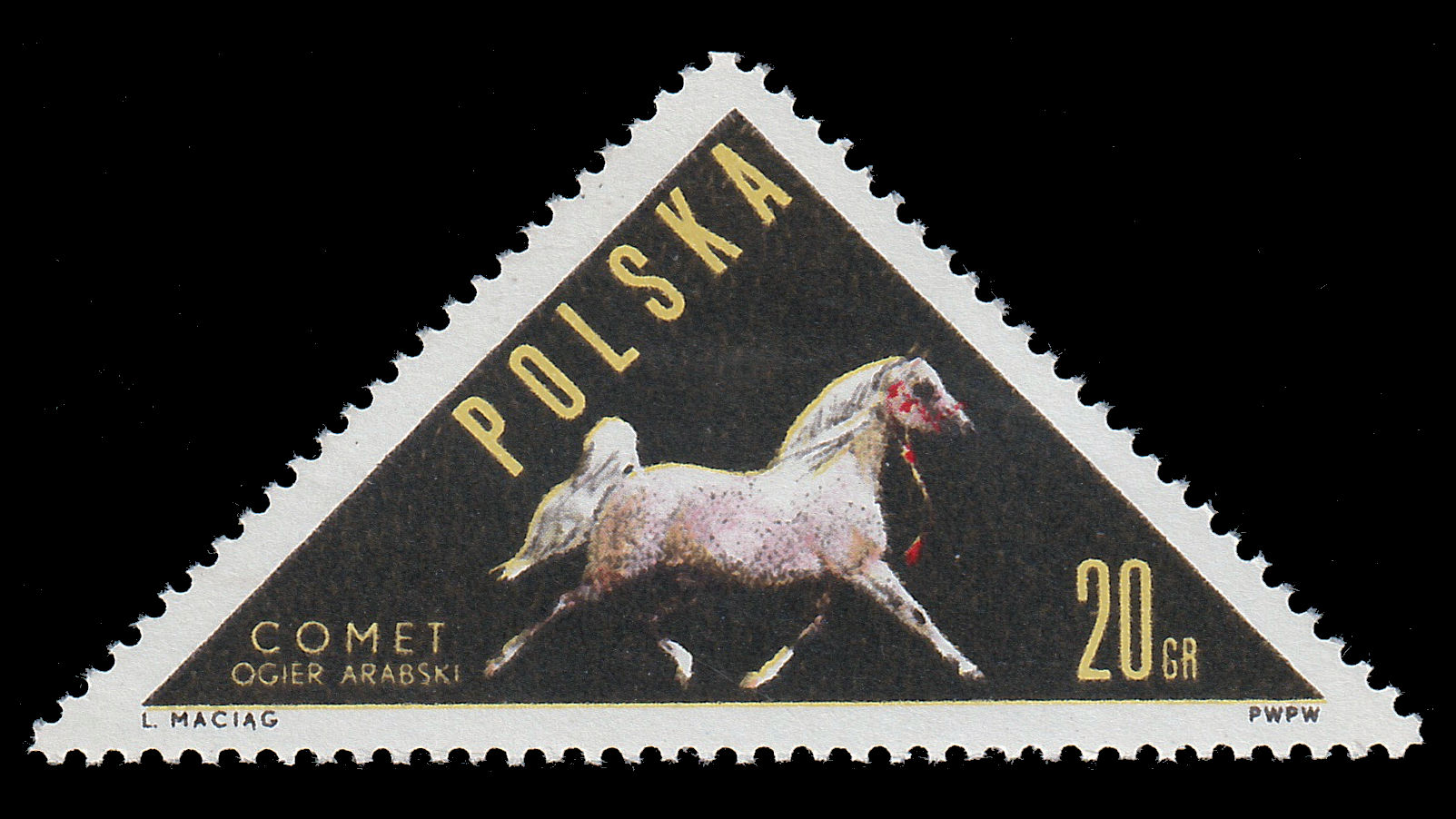 1963 Polish Horses