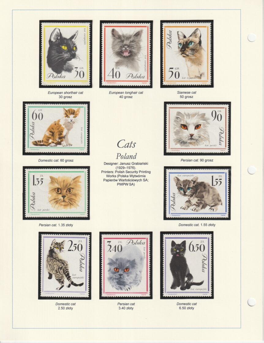 1964 Poland Cats