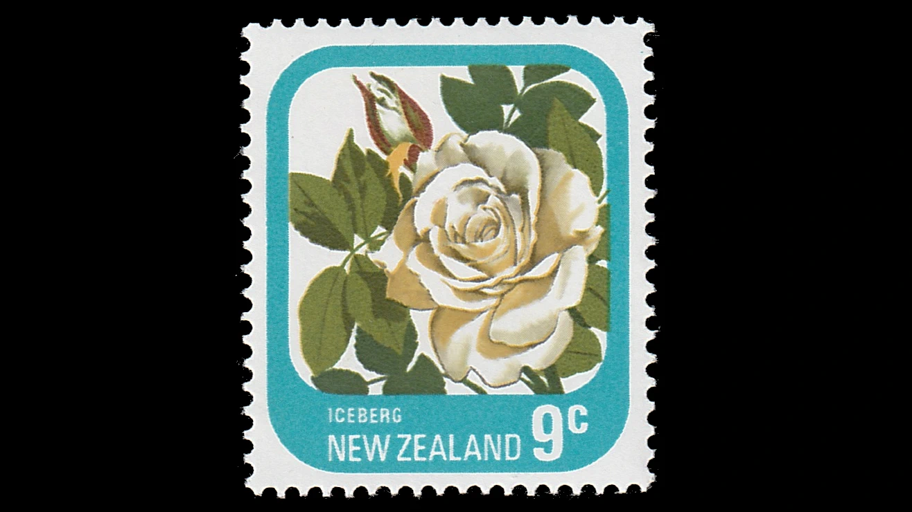 1975-1979 New Zealand Roses