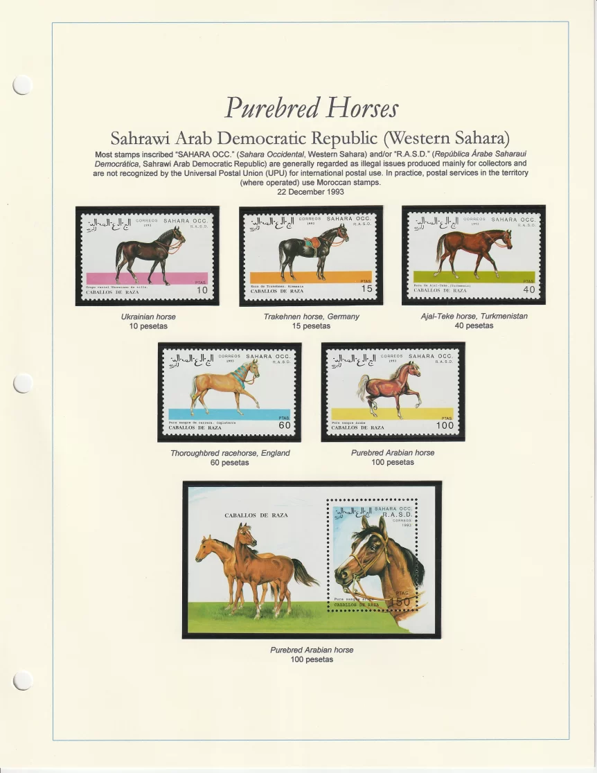 1993 Western Sahara Horses
