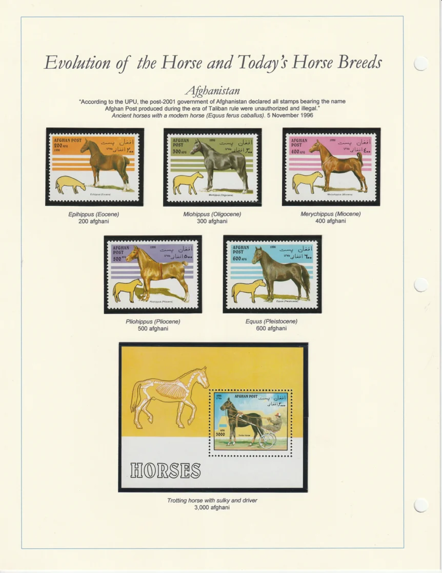 1996 Afghanistan Horses