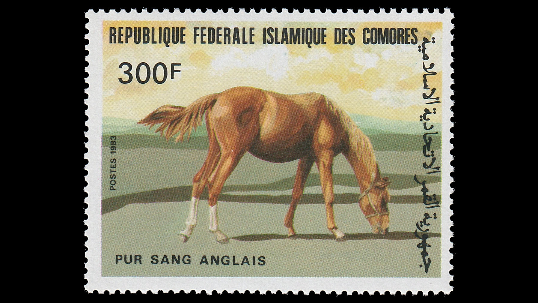 1983 Comoros Horse Breeds